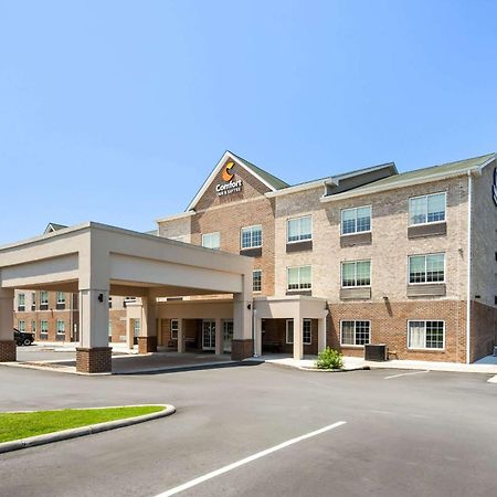 Comfort Inn & Suites High Point - 아키데일 외부 사진