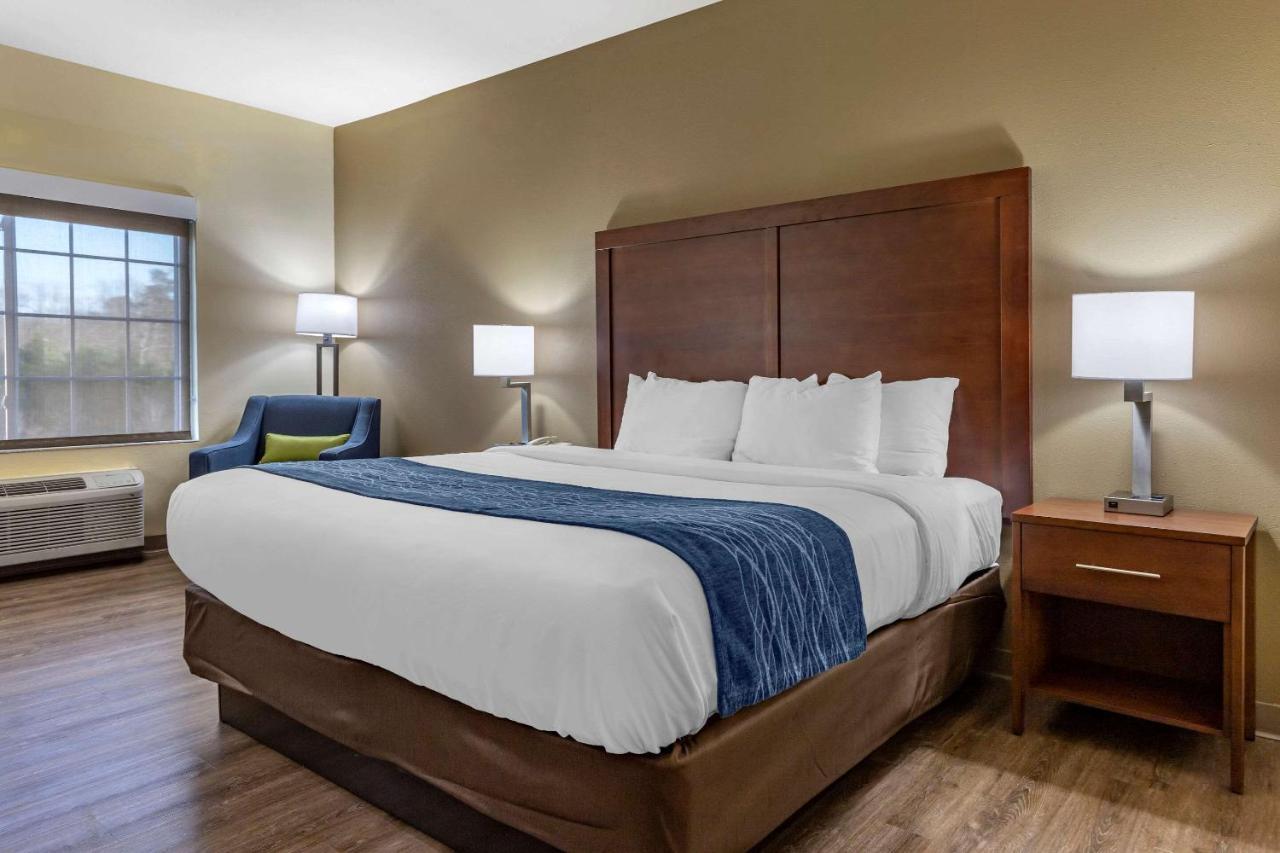 Comfort Inn & Suites High Point - 아키데일 외부 사진