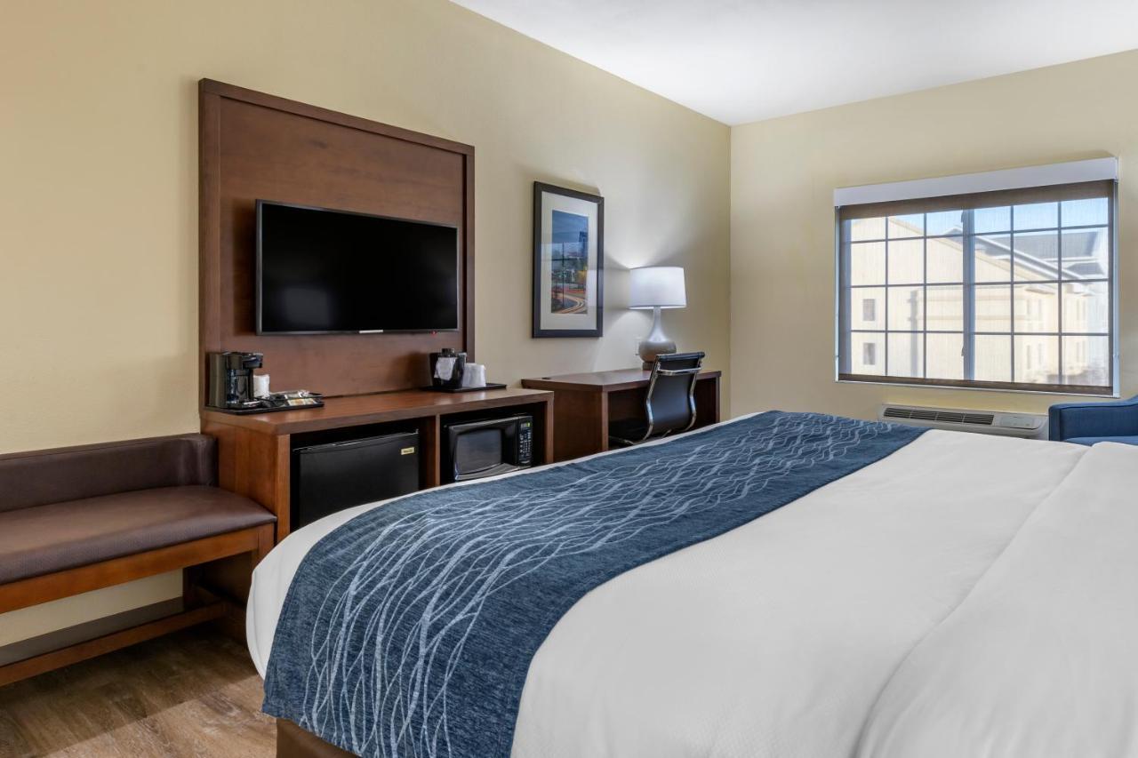 Comfort Inn & Suites High Point - 아키데일 객실 사진