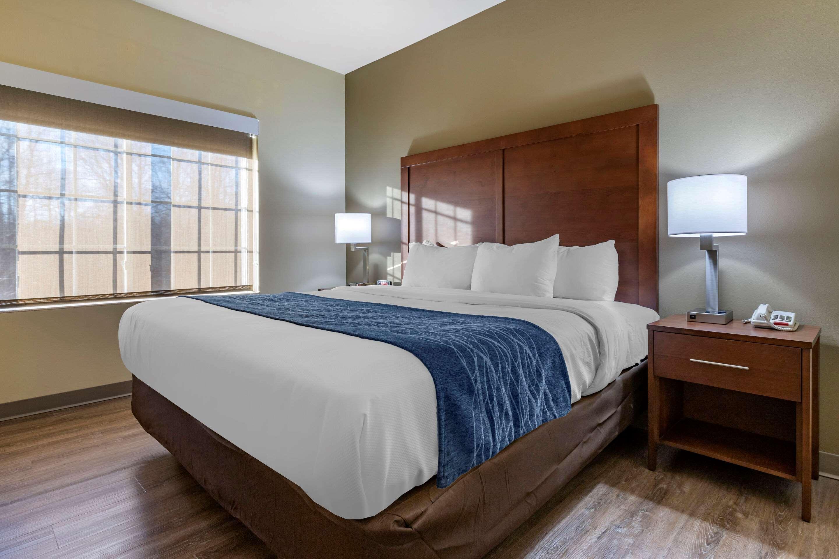 Comfort Inn & Suites High Point - 아키데일 외부 사진