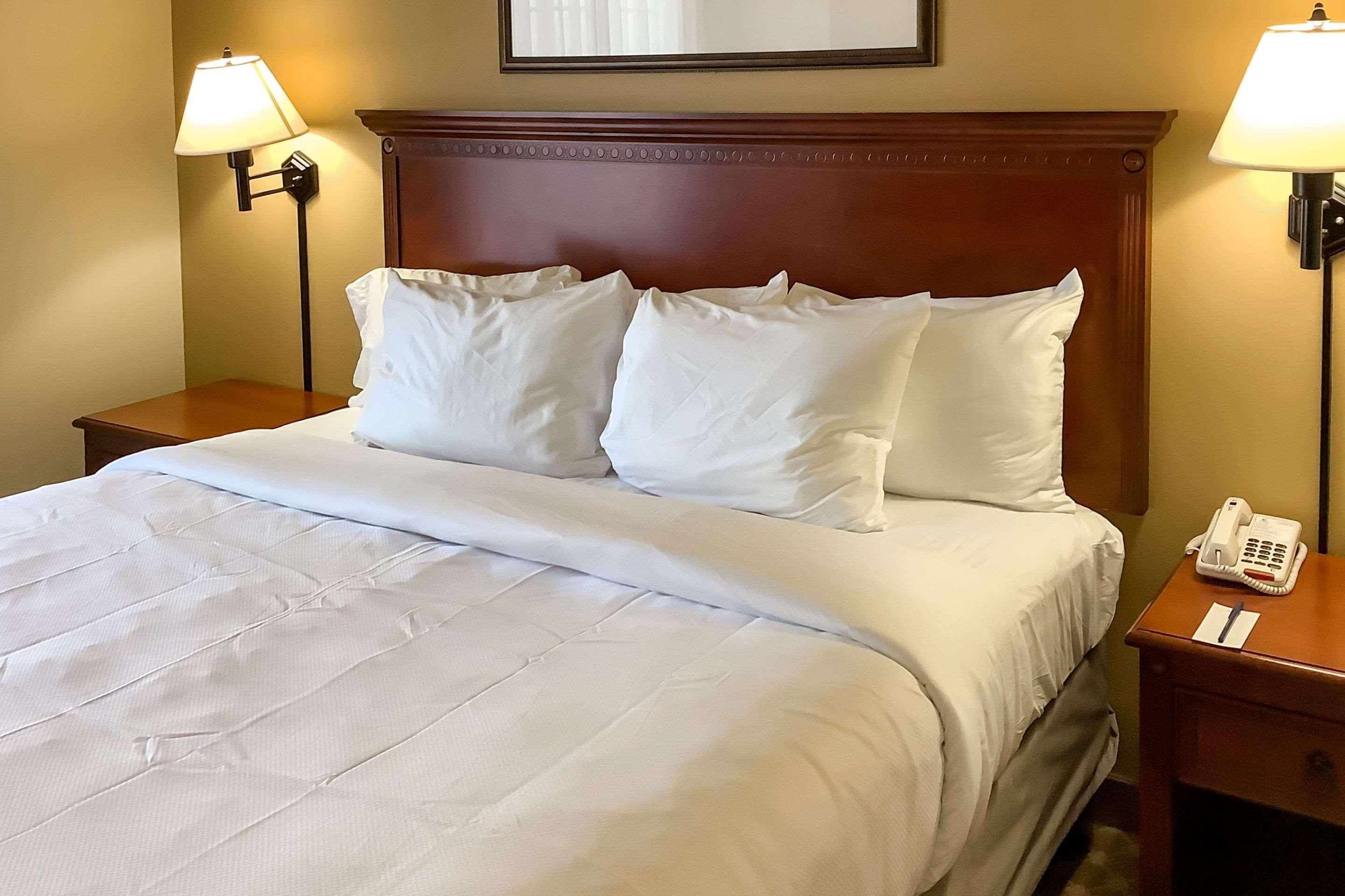 Comfort Inn & Suites High Point - 아키데일 외부 사진