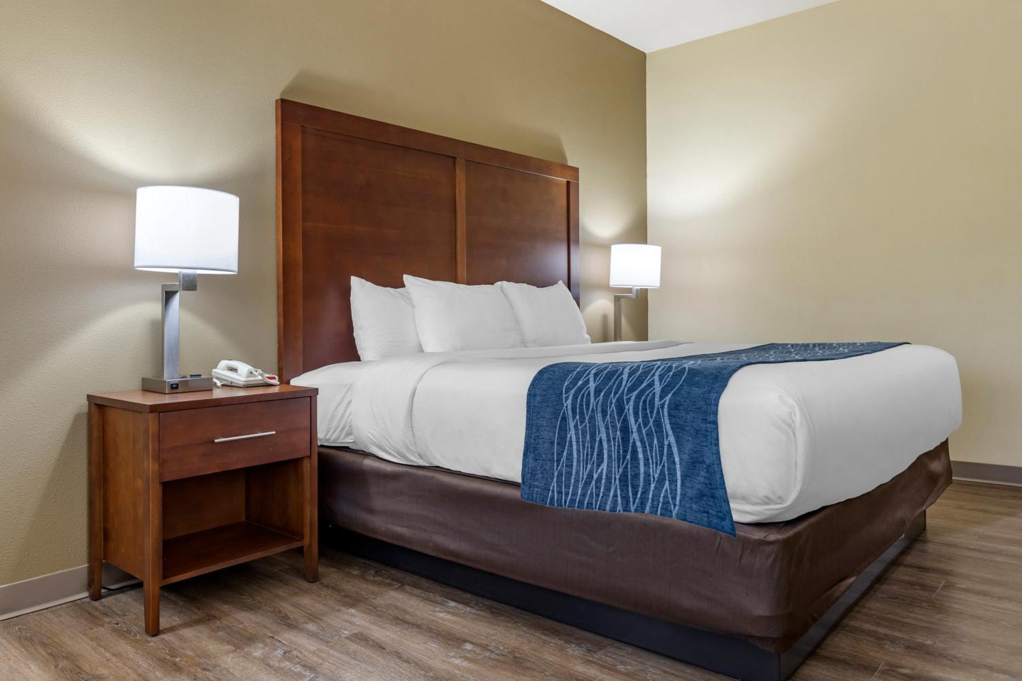 Comfort Inn & Suites High Point - 아키데일 객실 사진