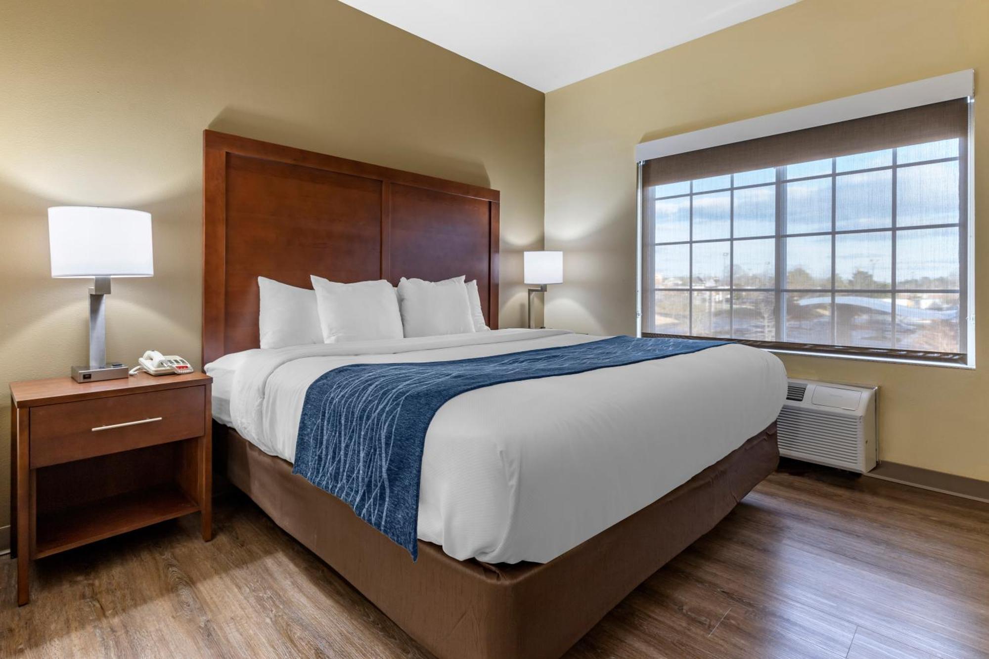 Comfort Inn & Suites High Point - 아키데일 객실 사진