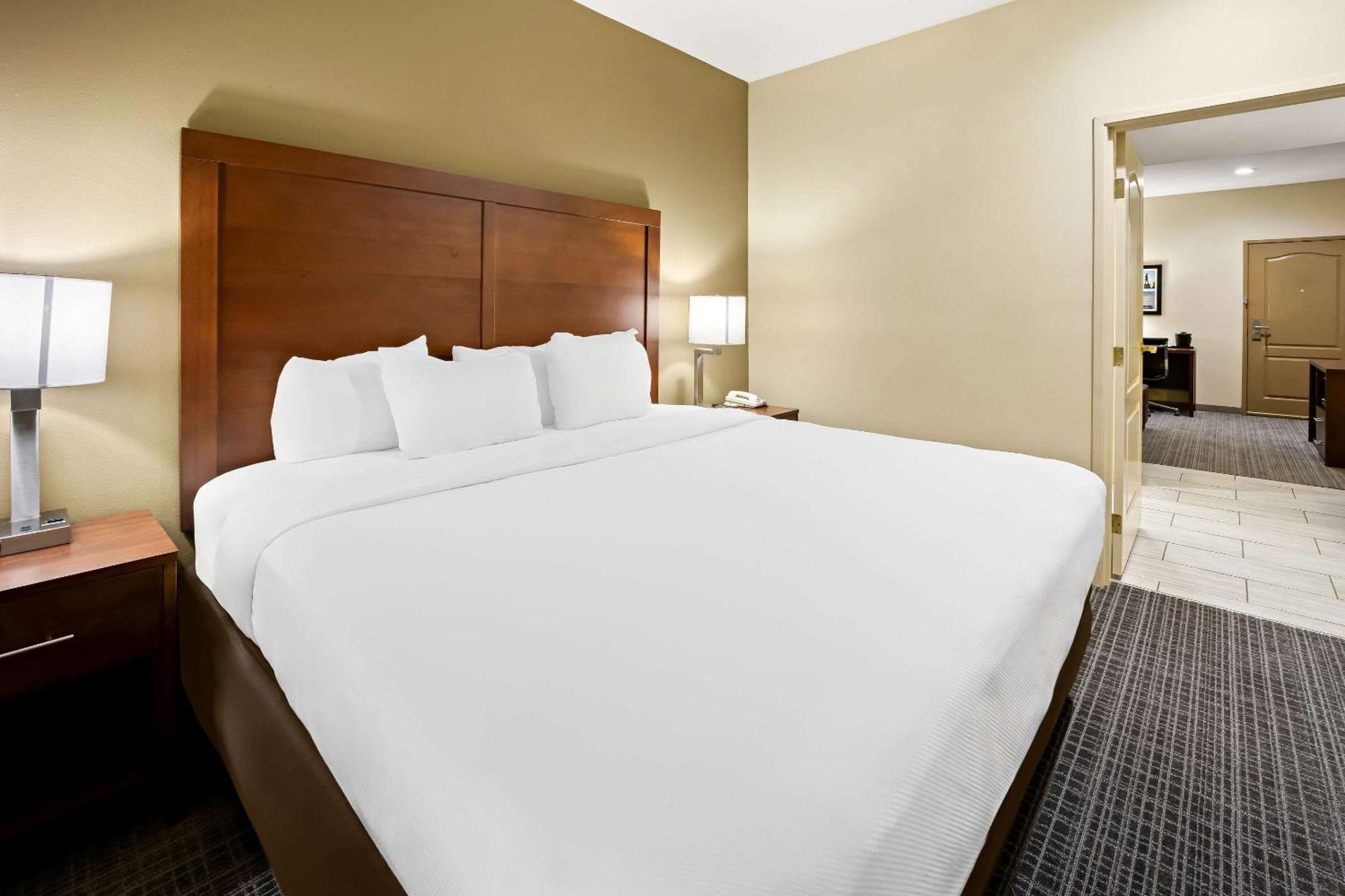 Comfort Inn & Suites High Point - 아키데일 외부 사진