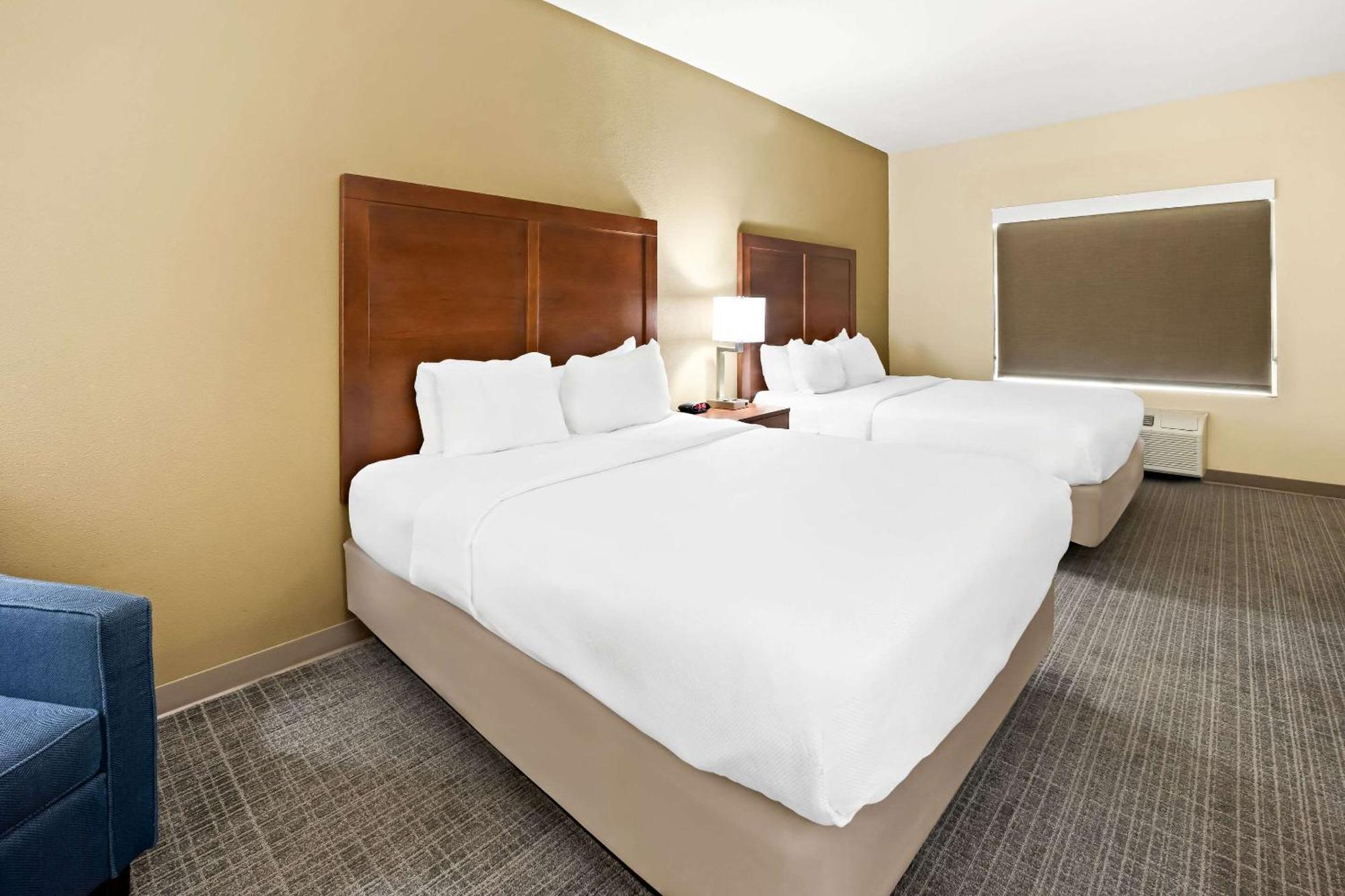 Comfort Inn & Suites High Point - 아키데일 외부 사진