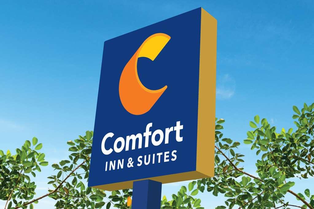 Comfort Inn & Suites High Point - 아키데일 외부 사진